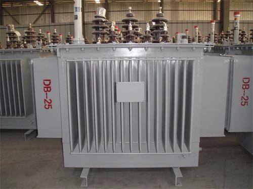 海南S13-100KVA/10KV/0.4KV油浸式变压器